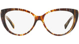 3084 004 tortoise