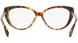3084 004 tortoise