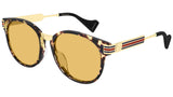 GG0586SA shiny havana and ocher
